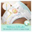 PAMPERS PREMIUM CARE VP S5