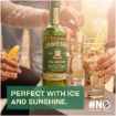 JAMESON CASKMATES IPA 750ML