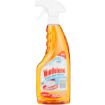 WINDOLENE GLASS CLEANER ORNG TRIG 750ML