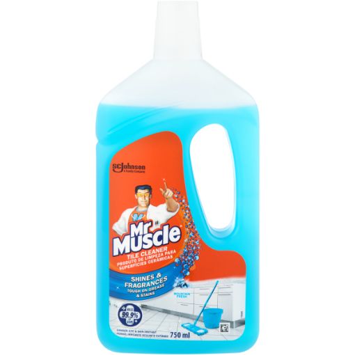MR MUSCLE TILE CLN MOUNTAIN FRESH 750ML