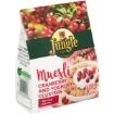 JUNGLE MUESLI CLUSTERS C/BERRY YOG 400G