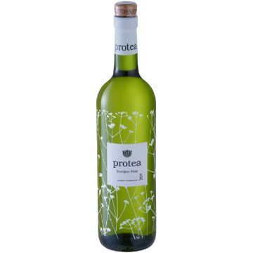 PROTEA SAUVIGNON BLANC 750ML