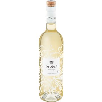 PROTEA PINOT GRIGIO 750ML