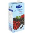 CAMISA FRUIT JUICE JUICE 100% BERRY