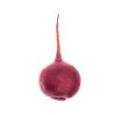 MODEL BEETROOT