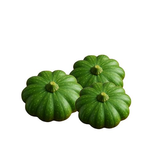 MODEL PATTY PAN GREEN PP