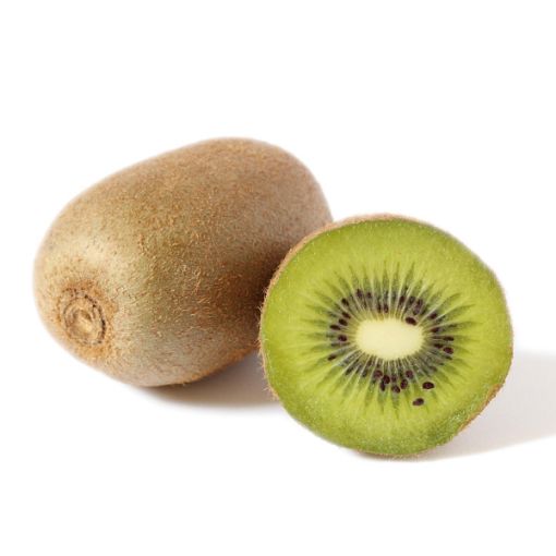 MODEL KIWIFRUIT