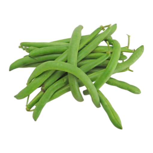 MODEL BEANS GREEN CUT PP