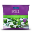 EMBORG BROCCOLI FLORETS  1 x 450G